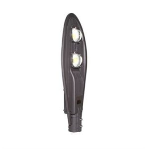 small Den duong 100W Rang Dong D CSD02L 100W.DA